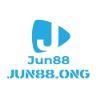 A8ac9e logo jun88ong